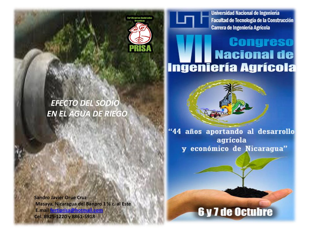 EFECTO DEL SODIO EN EL AGUA DE RIEGO Sandro Javier Orúe Cruz
