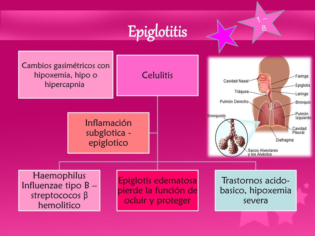 1 – 8 Epiglotitis. Cambios gasimétricos con hipoxemia, hipo o hipercapnia. Celulitis. Inflamación subglotica - epiglotico.