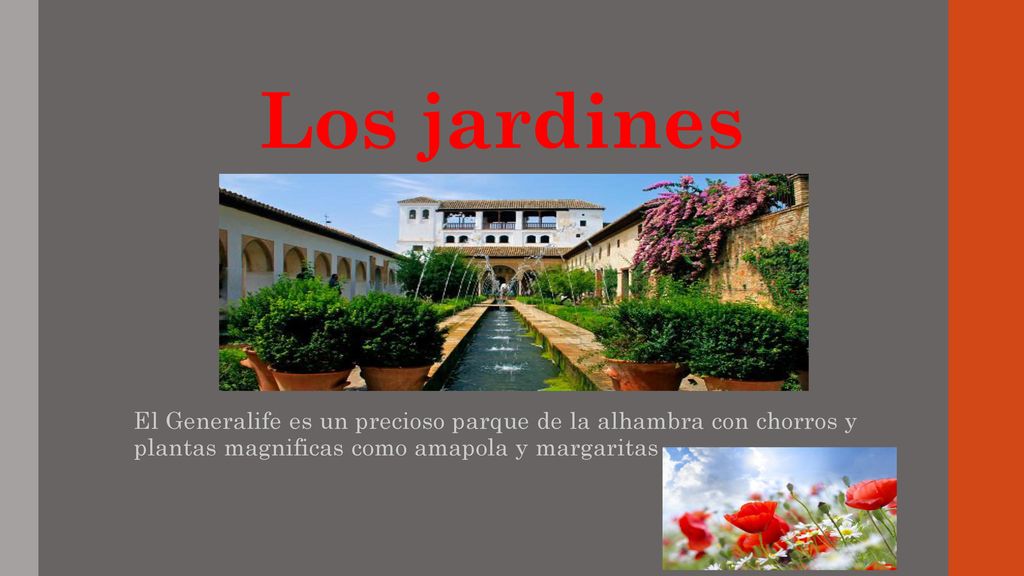Los jardines El Generalife es un precioso parque de la alhambra con chorros y plantas magnificas como amapola y margaritas .