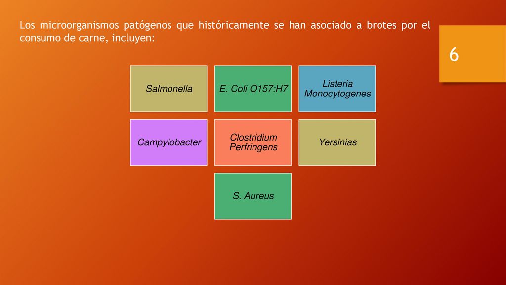 Los microorganismos patógenos que históricamente se han asociado a brotes por el consumo de carne, incluyen: