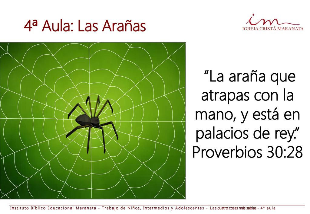 La araña que atrapas con la mano, y está en palacios de rey.