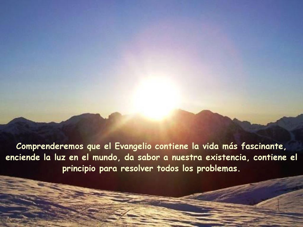 Comprenderemos que el Evangelio contiene la vida más fascinante, enciende la luz en el mundo, da sabor a nuestra existencia, contiene el principio para resolver todos los problemas.