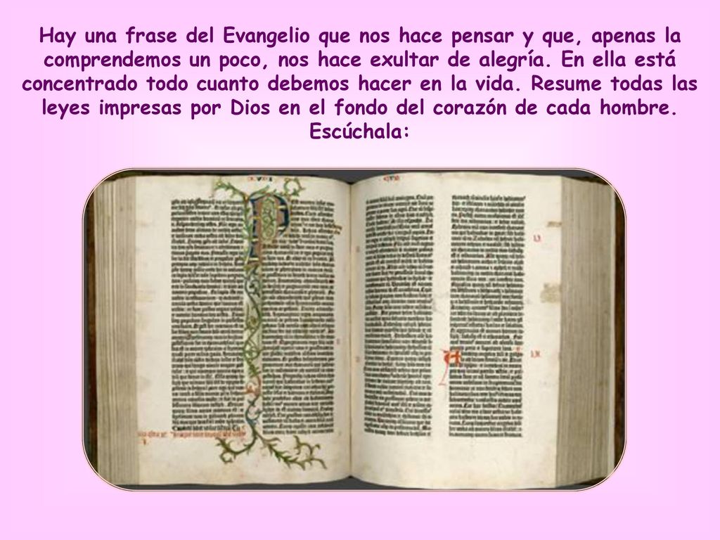 Hay una frase del Evangelio que nos hace pensar y que, apenas la comprendemos un poco, nos hace exultar de alegría.