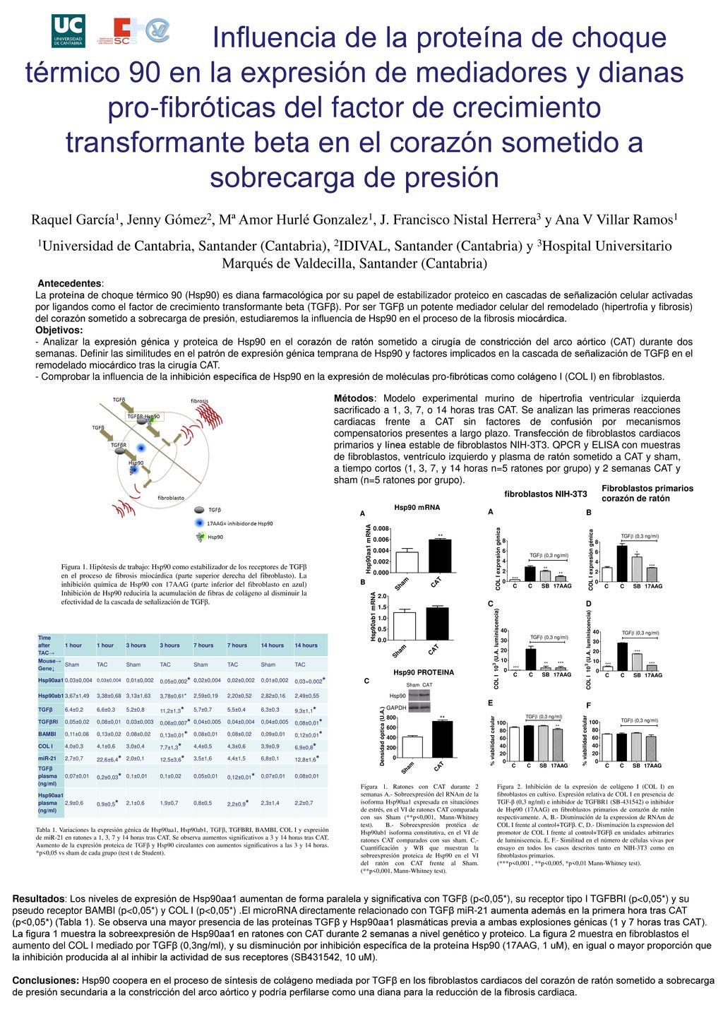 Influencia de la proteína de choque térmico 90 en la expresión de mediadores y dianas pro-fibróticas del factor de crecimiento transformante beta en el corazón sometido a sobrecarga de presión