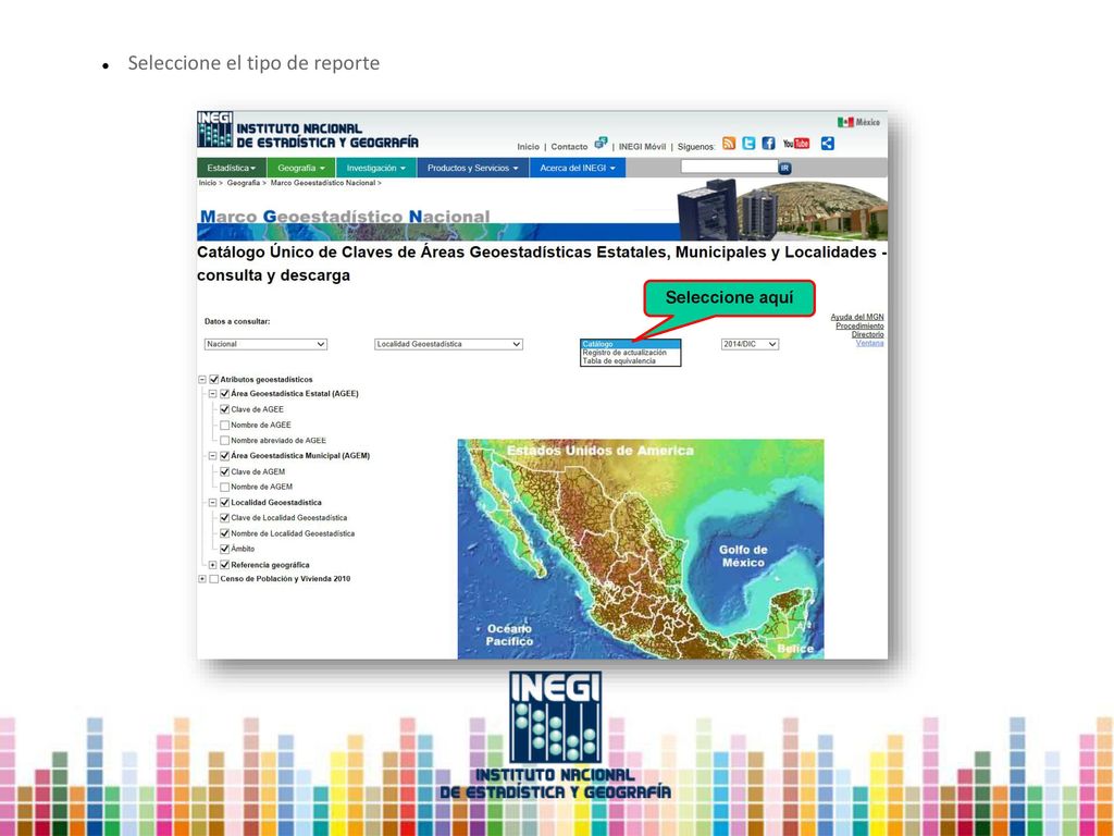 Seleccione el tipo de reporte