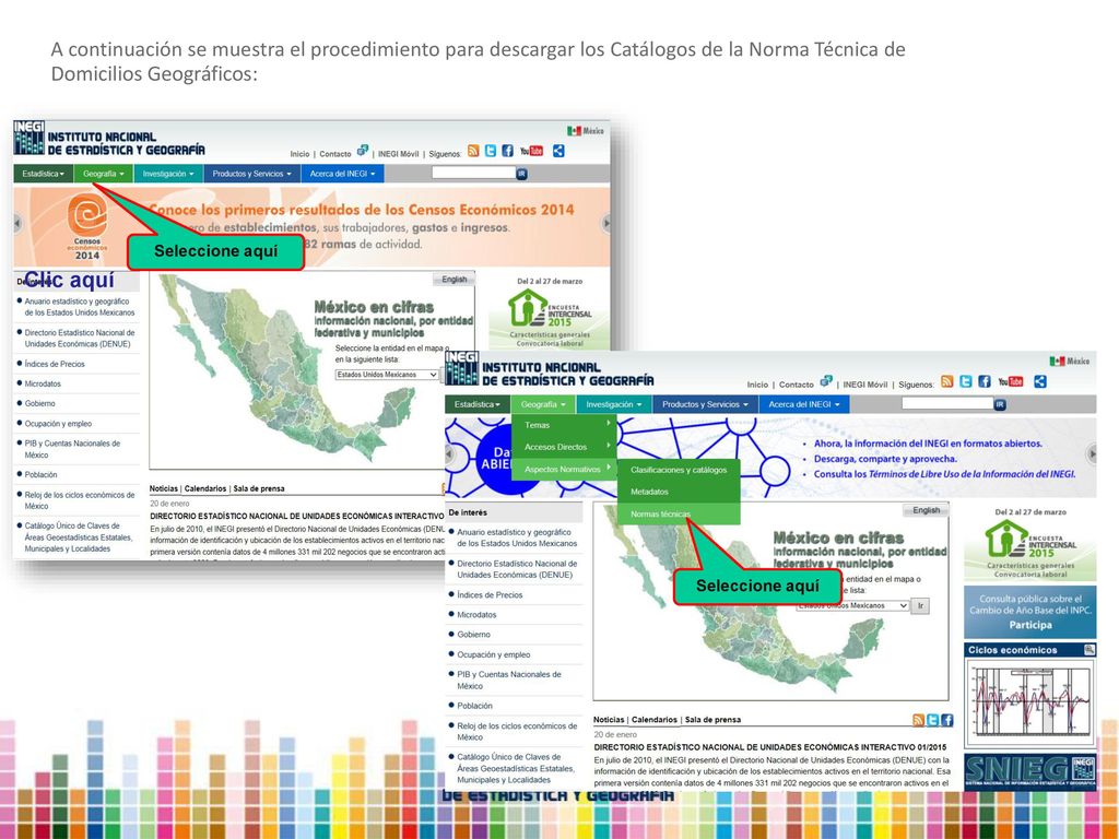 A continuación se muestra el procedimiento para descargar los Catálogos de la Norma Técnica de Domicilios Geográficos: