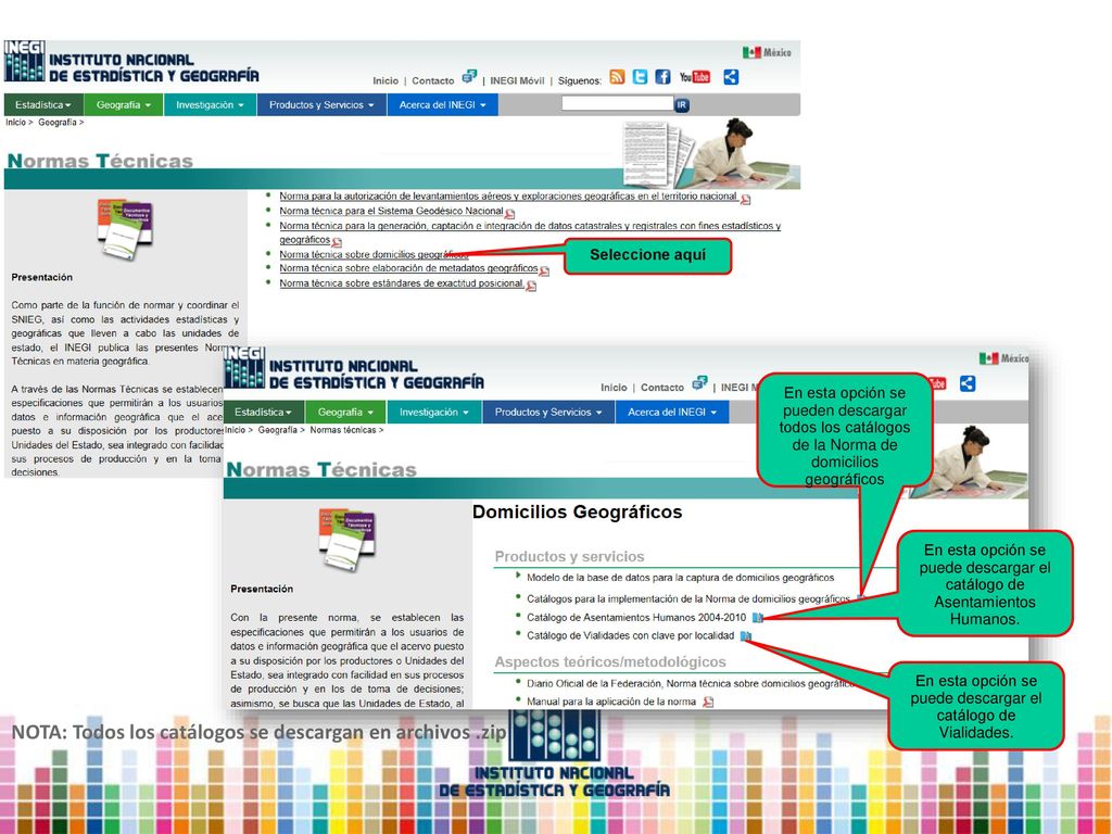 En esta opción se puede descargar el catálogo de Vialidades.
