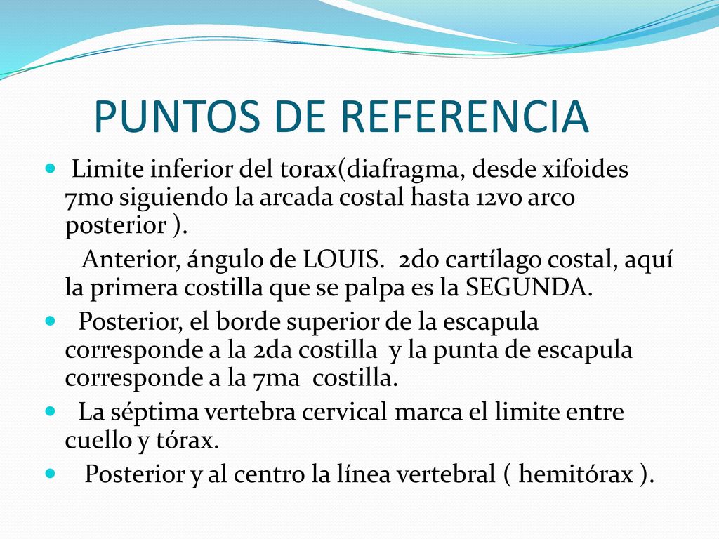 PUNTOS DE REFERENCIA Limite inferior del torax(diafragma, desde xifoides 7mo siguiendo la arcada costal hasta 12vo arco posterior ).