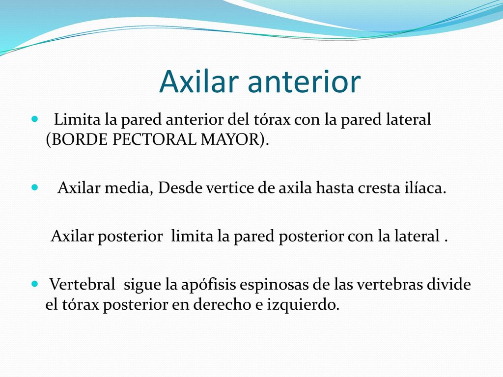 Axilar anterior Limita la pared anterior del tórax con la pared lateral (BORDE PECTORAL MAYOR).