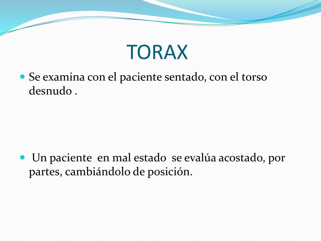 TORAX Se examina con el paciente sentado, con el torso desnudo .