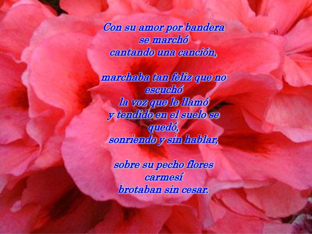 Con su amor por bandera se marchó cantando una canción,