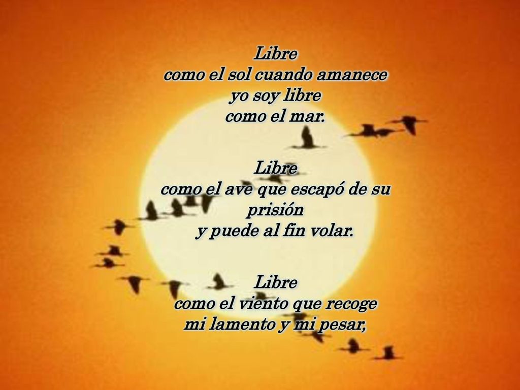 Libre como el sol cuando amanece yo soy libre como el mar.