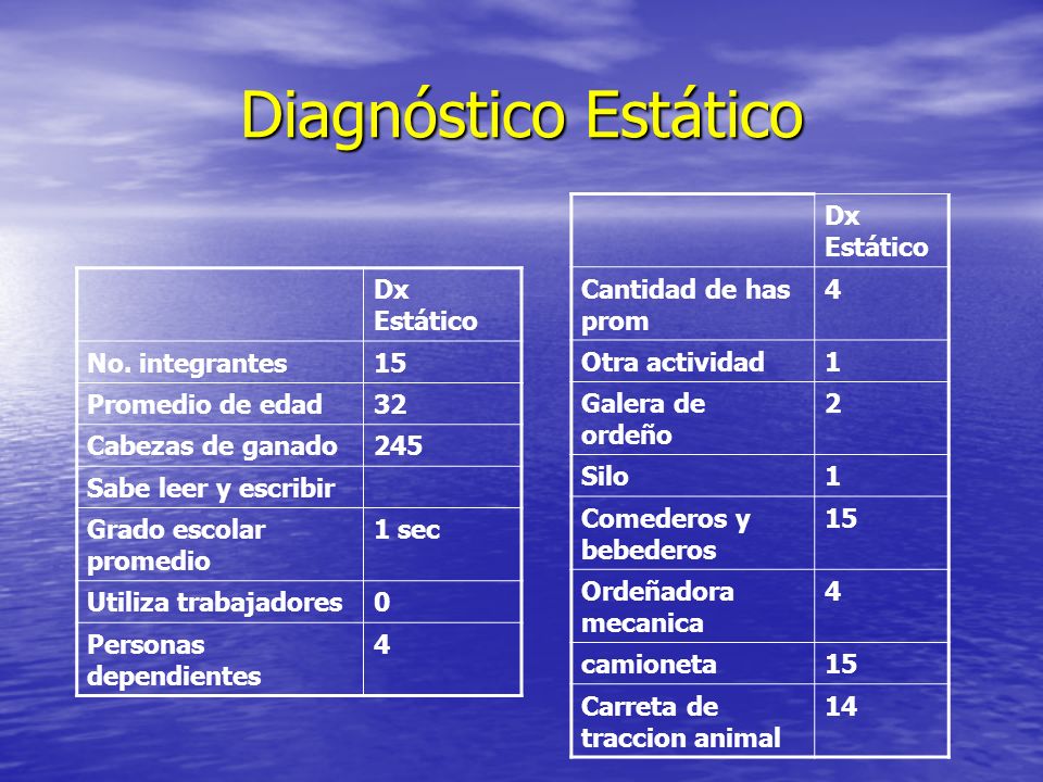 Diagnóstico Estático Dx Estático Cantidad de has prom 4 Otra actividad