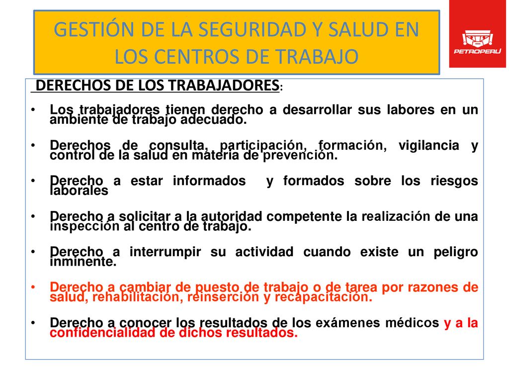 GESTIÓN DE LA SEGURIDAD Y SALUD EN LOS CENTROS DE TRABAJO