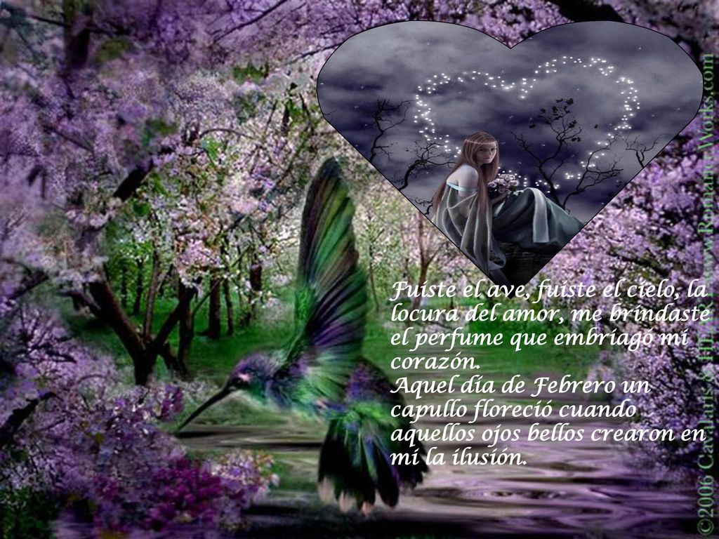 Fuiste el ave, fuiste el cielo, la locura del amor, me brindaste el perfume que embriagó mi corazón.