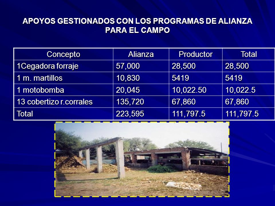 APOYOS GESTIONADOS CON LOS PROGRAMAS DE ALIANZA PARA EL CAMPO