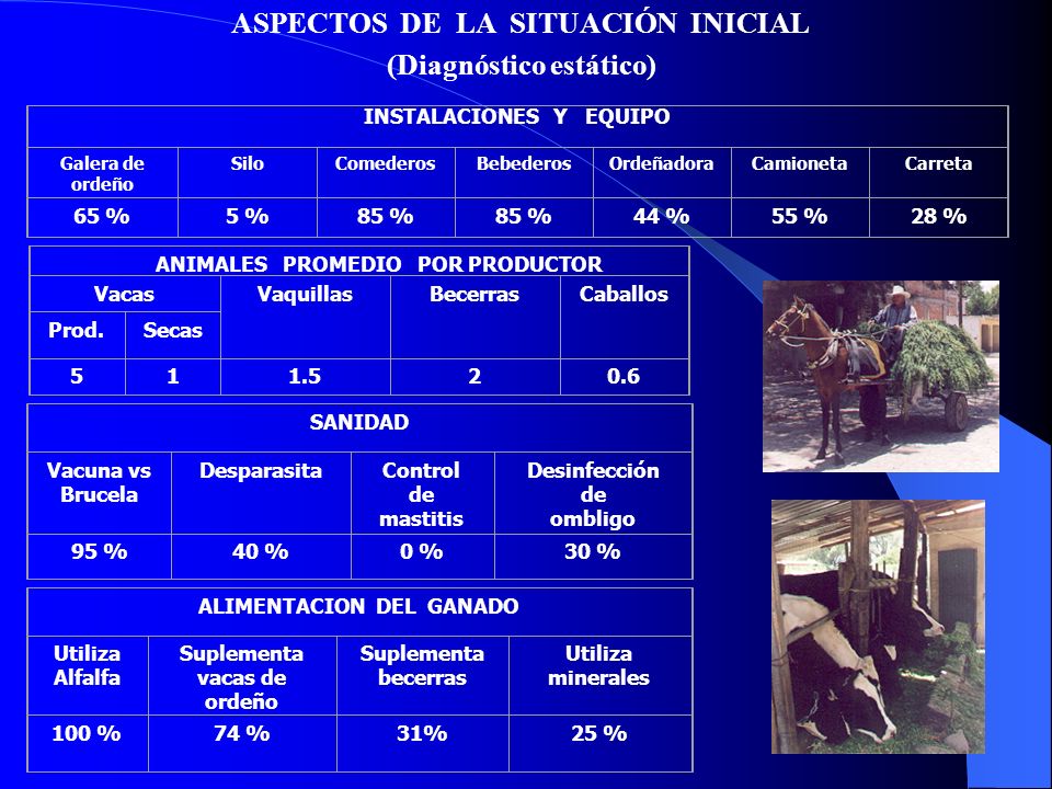 (Diagnóstico estático)