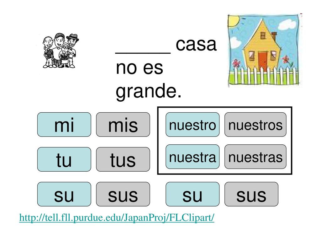 _____ casa no es grande. mi mis tu tus su sus su sus nuestro nuestros