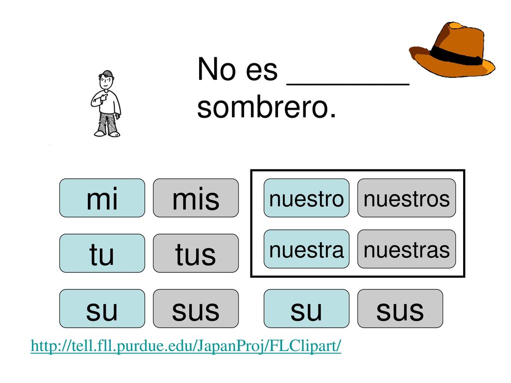 No es _______ sombrero. mi mis tu tus su sus su sus nuestro nuestros