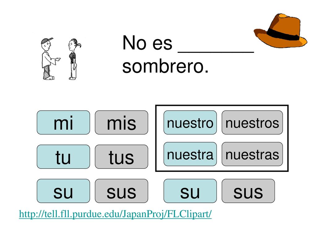 No es _______ sombrero. mi mis tu tus su sus su sus nuestro nuestros