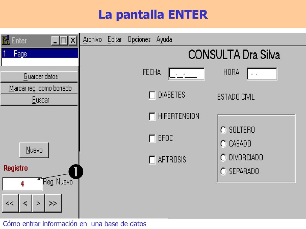  La pantalla ENTER Cómo entrar información en una base de datos