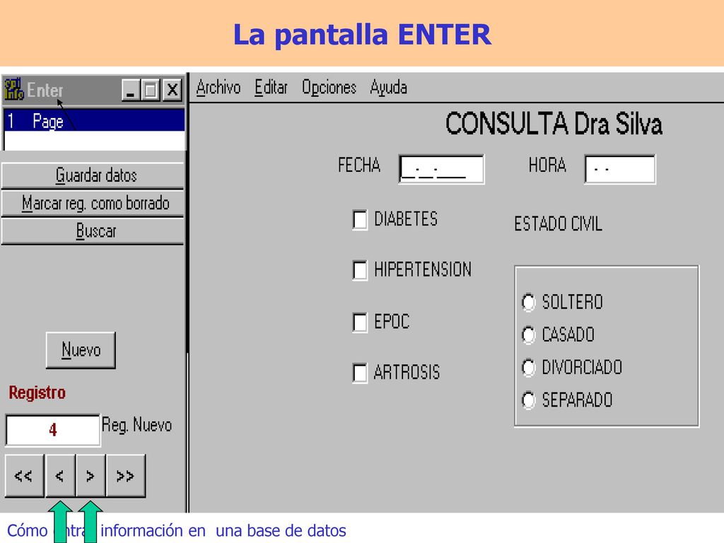 La pantalla ENTER Cómo entrar información en una base de datos