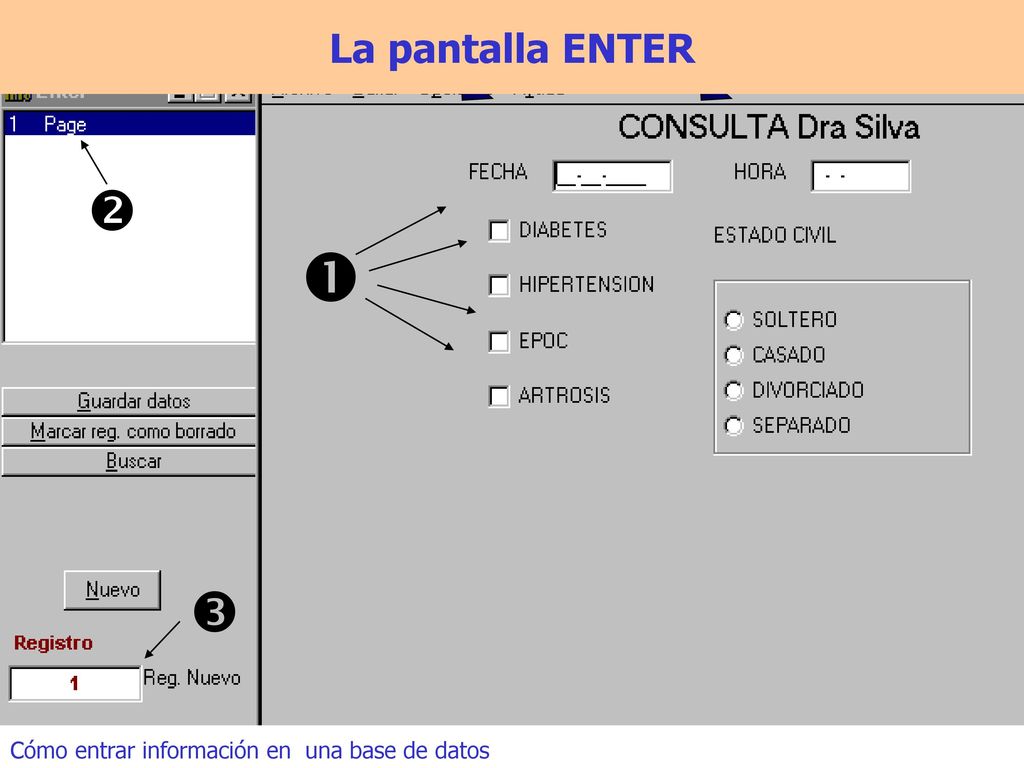    La pantalla ENTER Cómo entrar información en una base de datos
