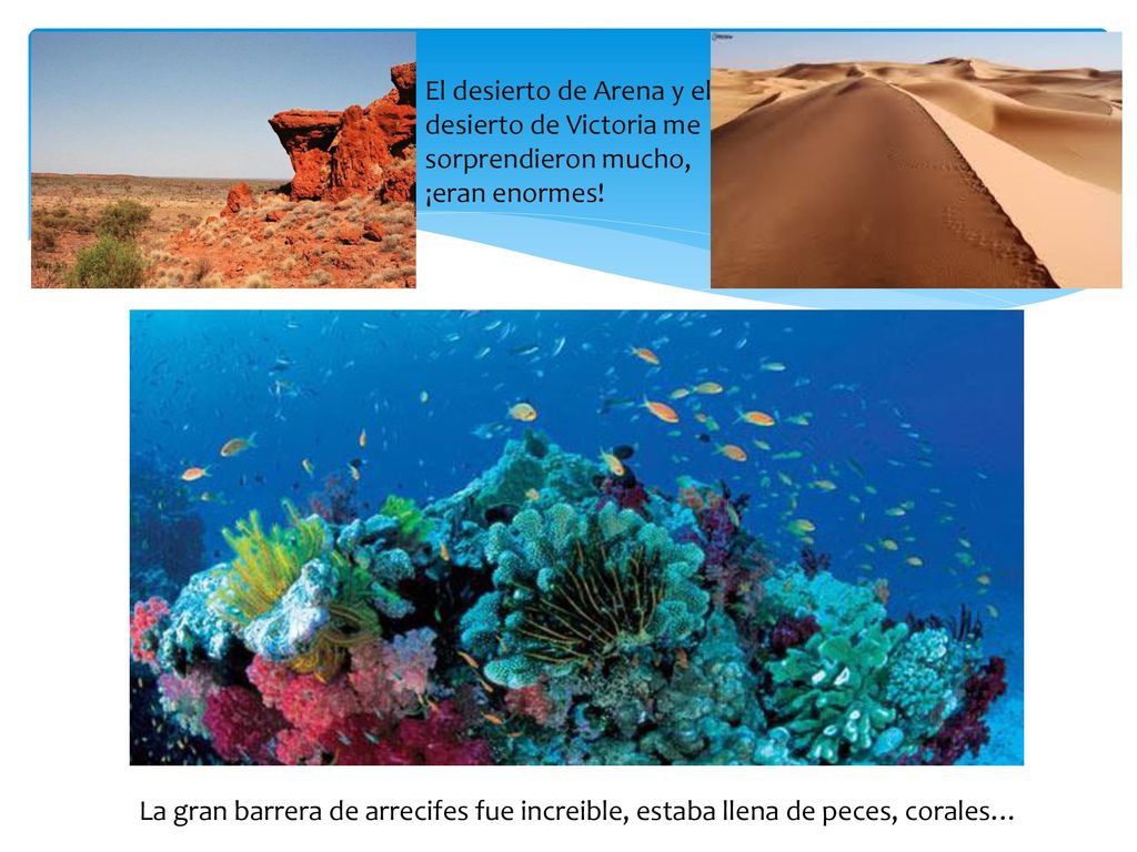 El desierto de Arena y el desierto de Victoria me sorprendieron mucho, ¡eran enormes!