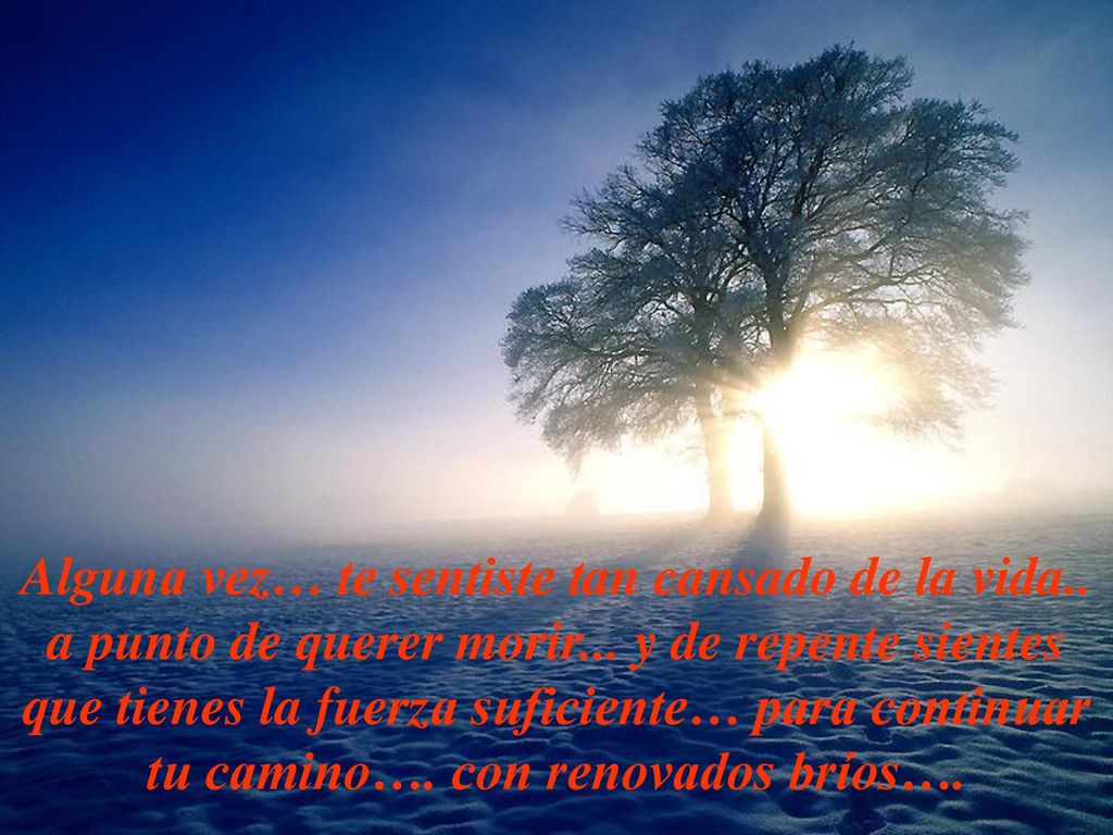 Alguna vez… te sentiste tan cansado de la vida.. a punto de querer morir...