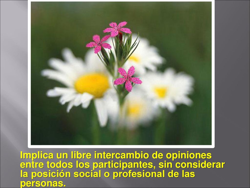 Implica un libre intercambio de opiniones entre todos los participantes, sin considerar la posición social o profesional de las personas.
