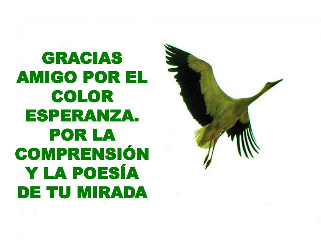 GRACIAS AMIGO POR EL COLOR ESPERANZA