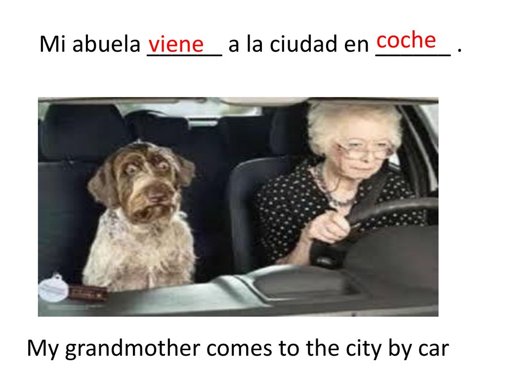 coche Mi abuela ______ a la ciudad en ______ . viene My grandmother comes to the city by car