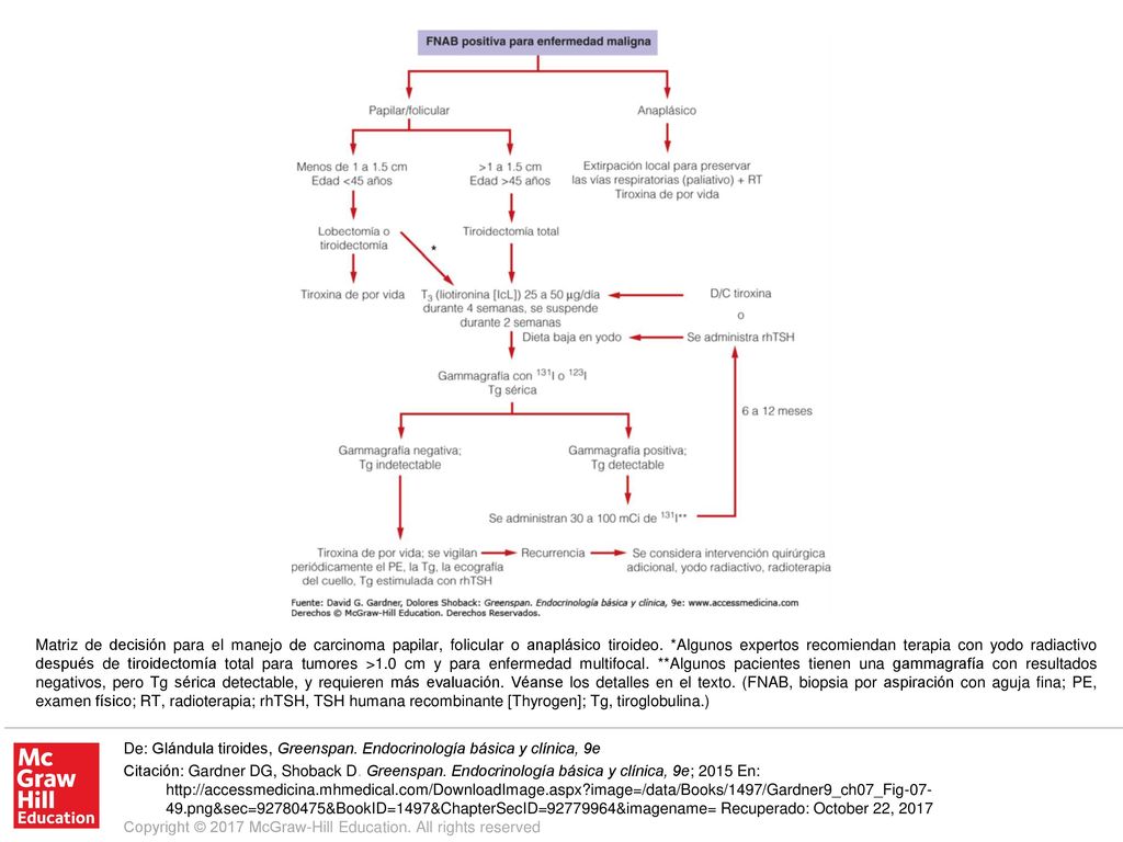 Matriz de decisión para el manejo de carcinoma papilar, folicular o anaplásico tiroideo. *Algunos expertos recomiendan terapia con yodo radiactivo después de tiroidectomía total para tumores >1.0 cm y para enfermedad multifocal. **Algunos pacientes tienen una gammagrafía con resultados negativos, pero Tg sérica detectable, y requieren más evaluación. Véanse los detalles en el texto. (FNAB, biopsia por aspiración con aguja fina; PE, examen físico; RT, radioterapia; rhTSH, TSH humana recombinante [Thyrogen]; Tg, tiroglobulina.)
