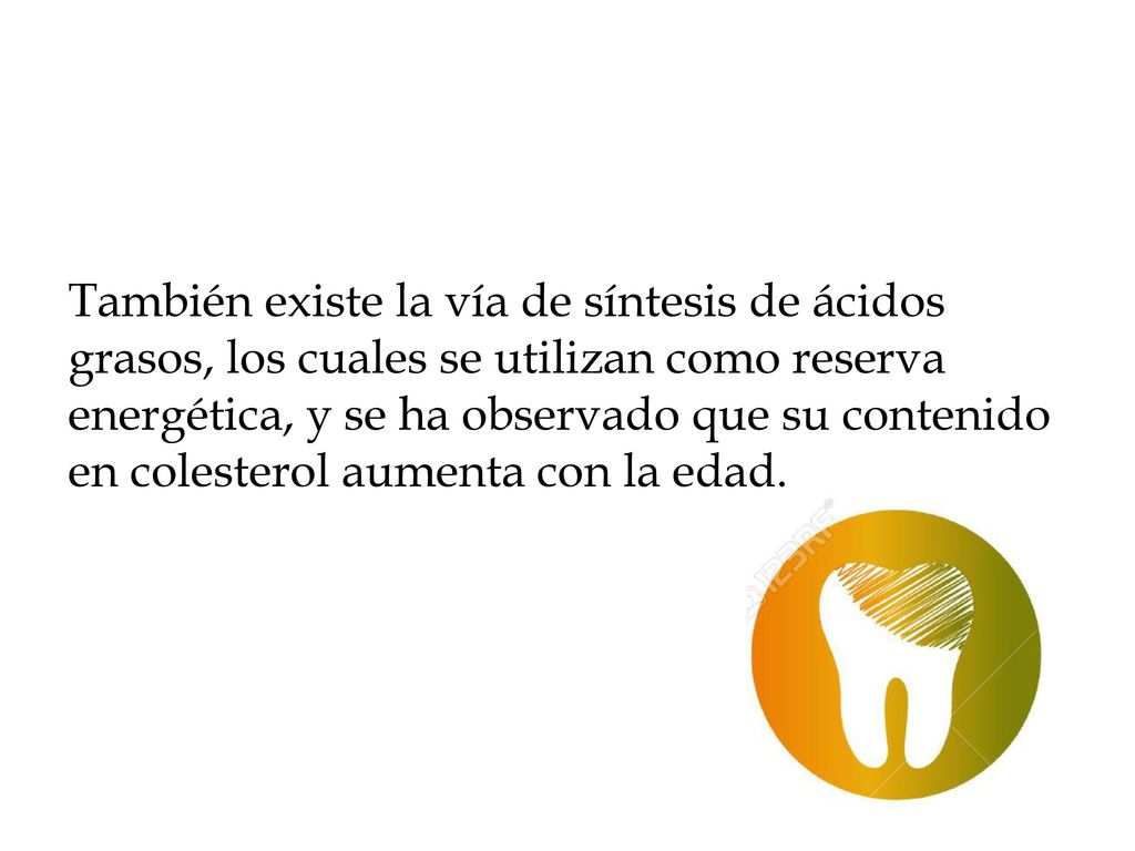 También existe la vía de síntesis de ácidos grasos, los cuales se utilizan como reserva energética, y se ha observado que su contenido en colesterol aumenta con la edad.