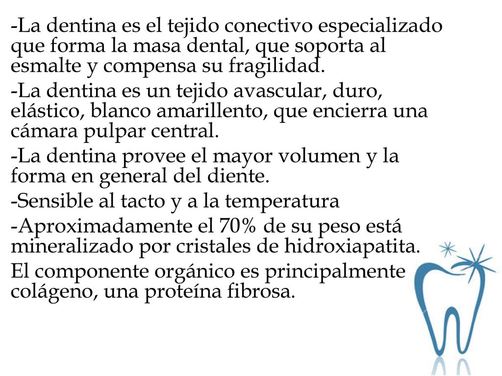 -La dentina es el tejido conectivo especializado que forma la masa dental, que soporta al esmalte y compensa su fragilidad.