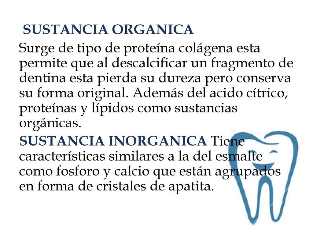 SUSTANCIA ORGANICA Surge de tipo de proteína colágena esta permite que al descalcificar un fragmento de dentina esta pierda su dureza pero conserva su forma original.