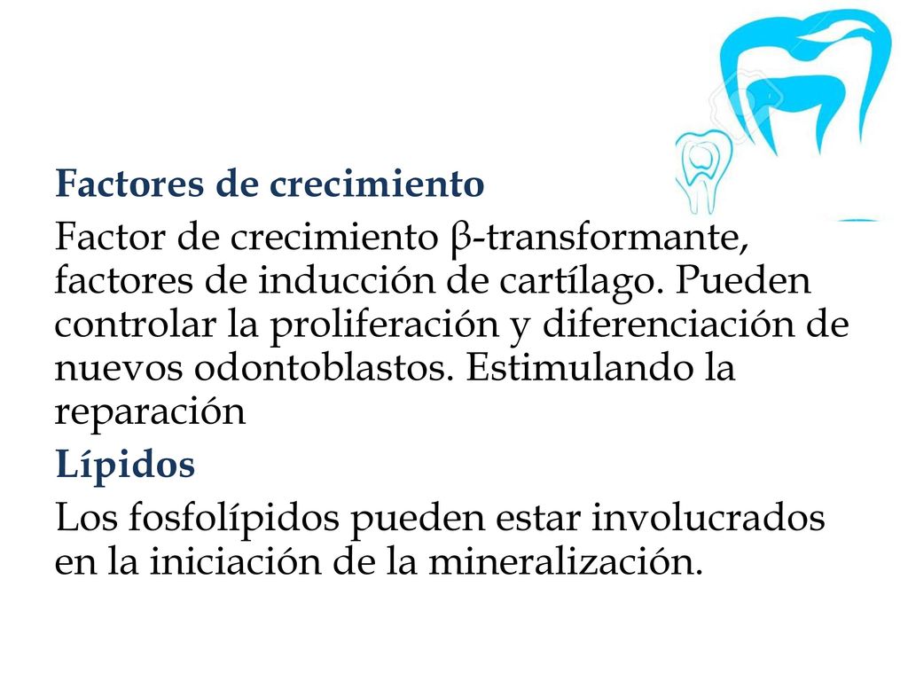 Factores de crecimiento Factor de crecimiento β-transformante, factores de inducción de cartílago.