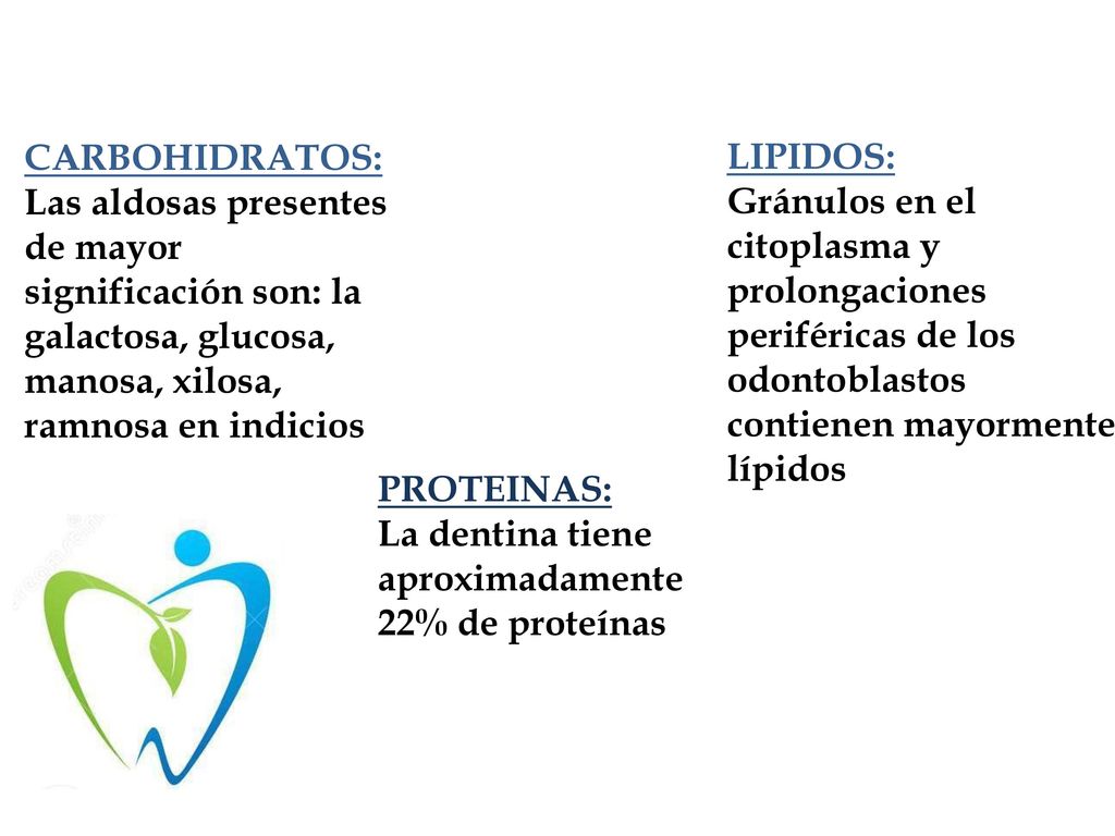 CARBOHIDRATOS: Las aldosas presentes de mayor significación son: la galactosa, glucosa, manosa, xilosa, ramnosa en indicios.