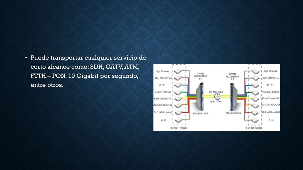 Puede transportar cualquier servicio de corto alcance como: SDH, CATV, ATM, FTTH – PON, 10 Gigabit por segundo, entre otros.