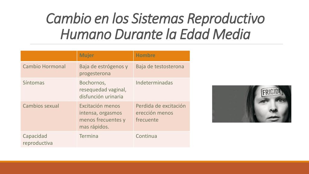 Cambio en los Sistemas Reproductivo Humano Durante la Edad Media