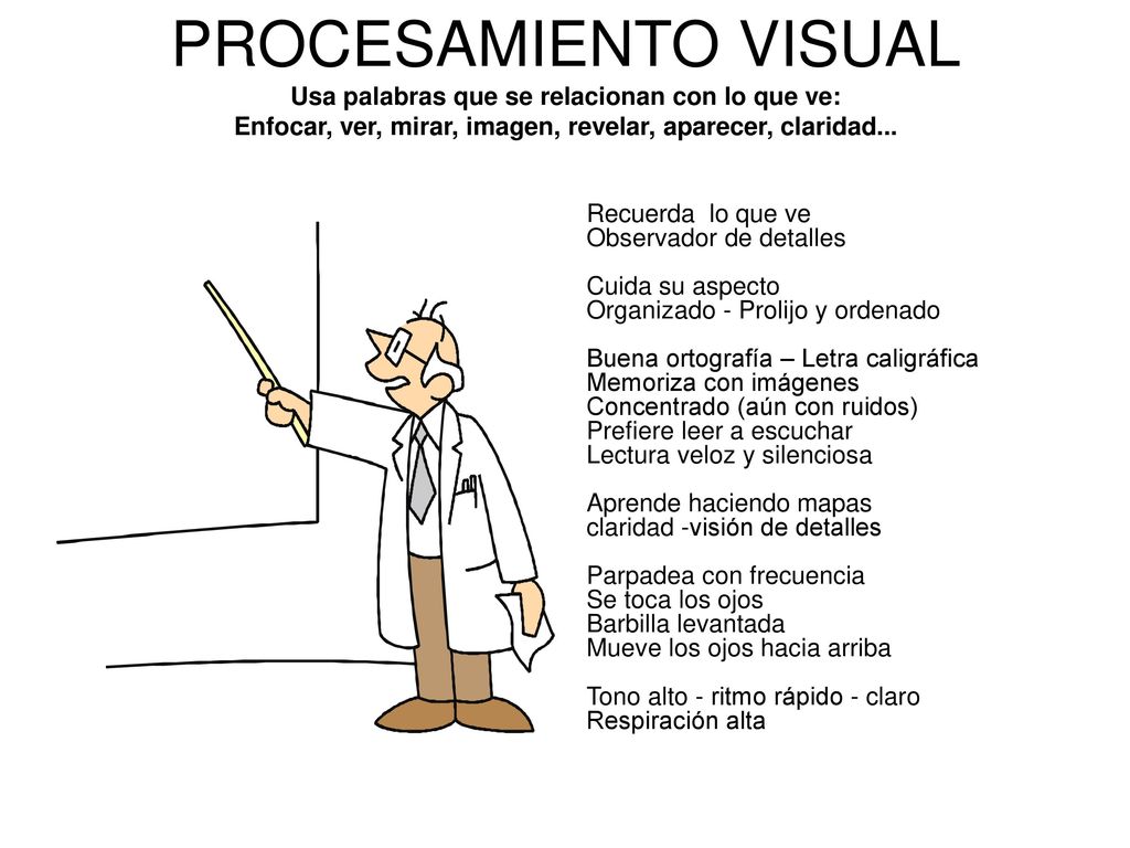 PROCESAMIENTO VISUAL Usa palabras que se relacionan con lo que ve: Enfocar, ver, mirar, imagen, revelar, aparecer, claridad...