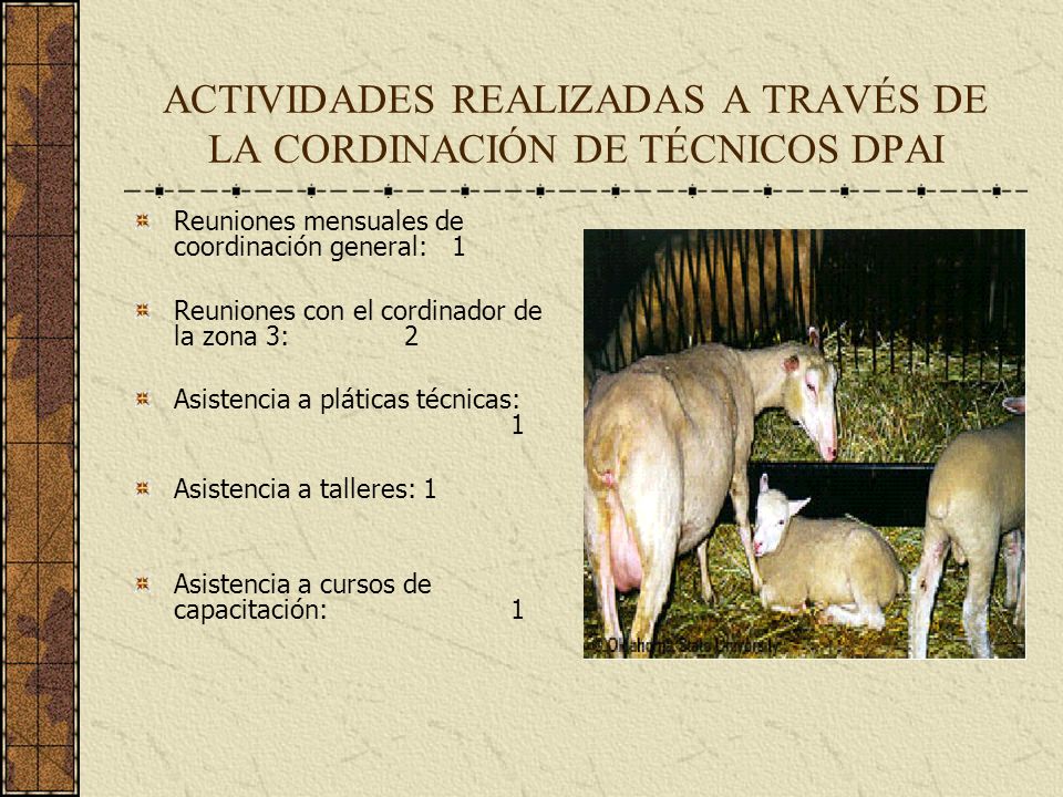 ACTIVIDADES REALIZADAS A TRAVÉS DE LA CORDINACIÓN DE TÉCNICOS DPAI