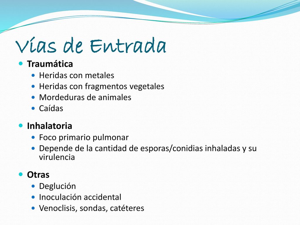 Vías de Entrada Traumática Inhalatoria Otras Heridas con metales