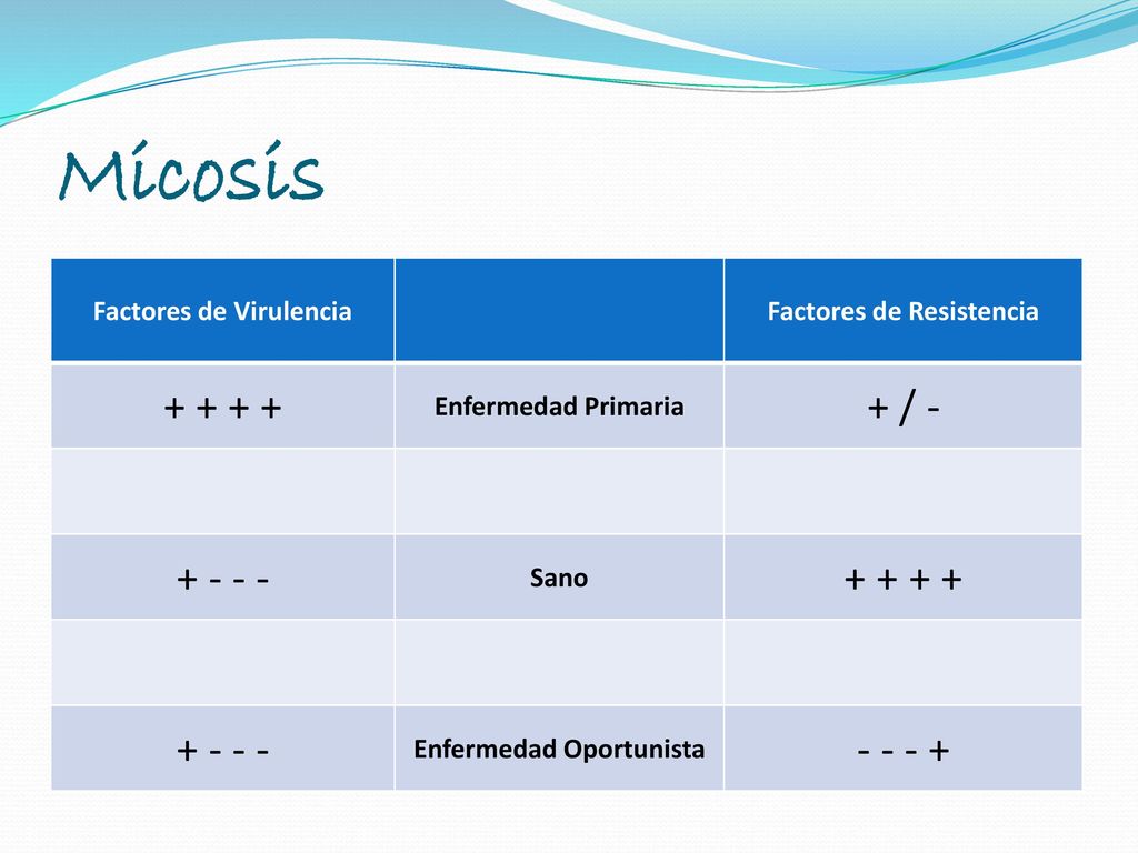 Factores de Virulencia Factores de Resistencia Enfermedad Oportunista