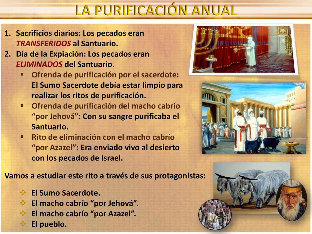 LA PURIFICACIÓN ANUAL Sacrificios diarios: Los pecados eran TRANSFERIDOS al Santuario.