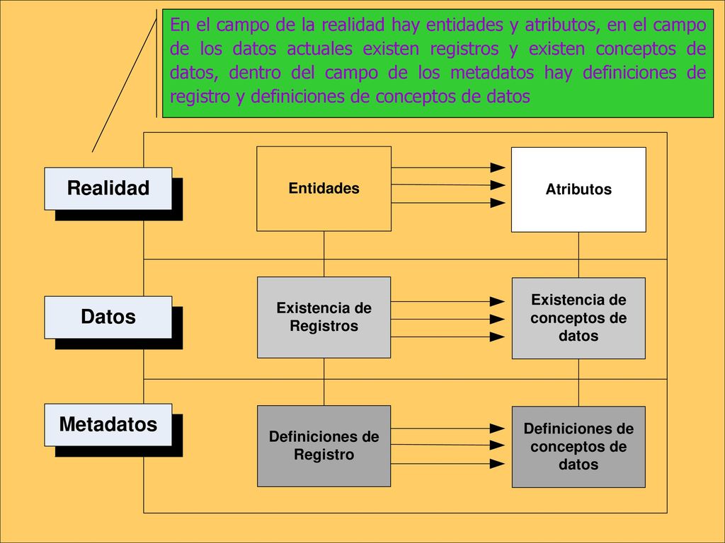 En el campo de la realidad hay entidades y atributos, en el campo de los datos actuales existen registros y existen conceptos de datos, dentro del campo de los metadatos hay definiciones de registro y definiciones de conceptos de datos