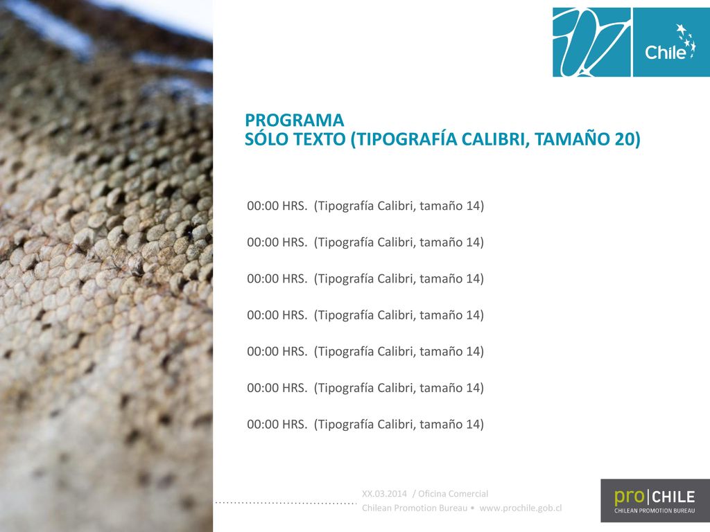 PROGRAMA SÓLO TEXTO (TIPOGRAFÍA CALIBRI, TAMAÑO 20)