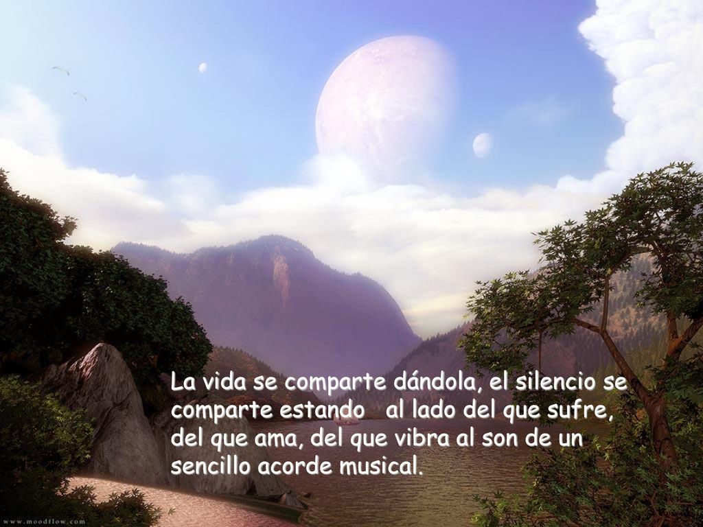La vida se comparte dándola, el silencio se comparte estando al lado del que sufre, del que ama, del que vibra al son de un sencillo acorde musical.