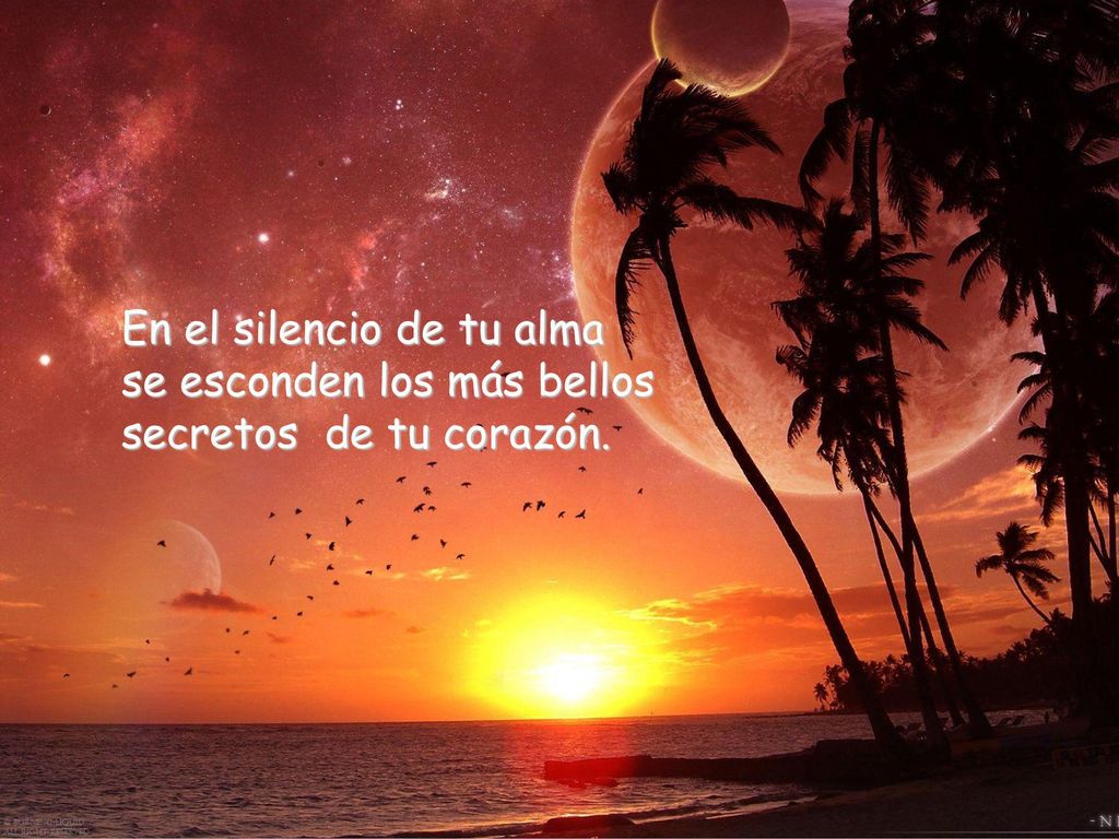 En el silencio de tu alma se esconden los más bellos secretos de tu corazón.