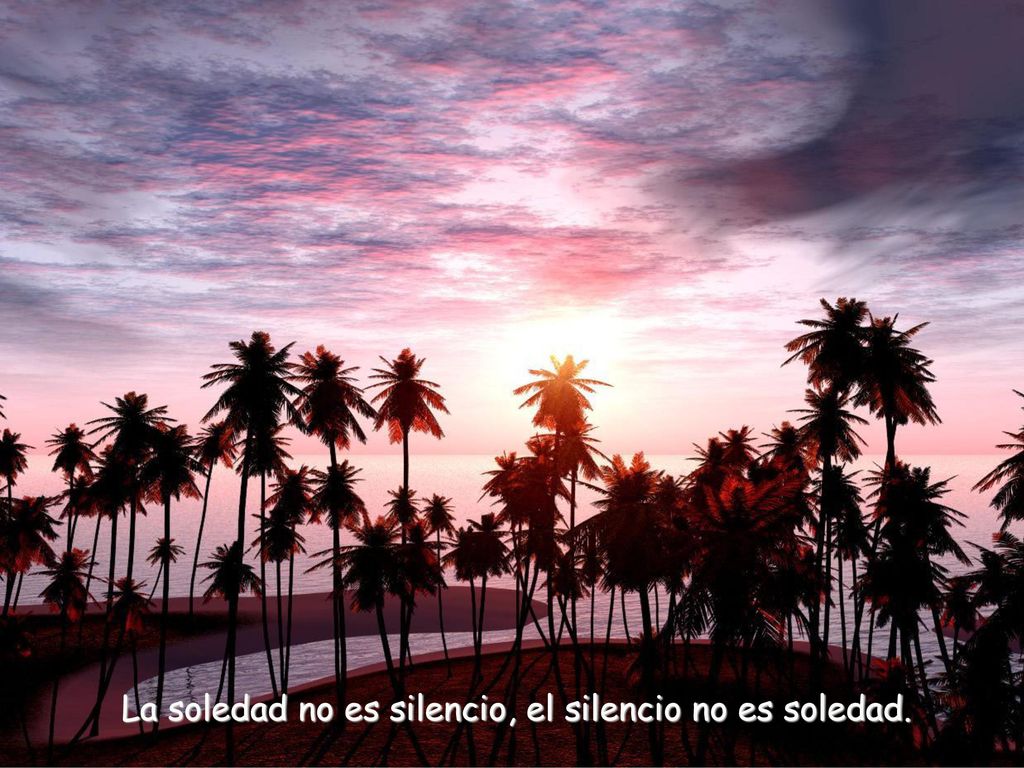 La soledad no es silencio, el silencio no es soledad.